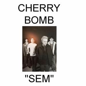 SEM