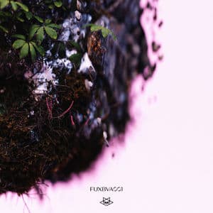Fuxbau VA 001