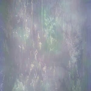 Enveloped