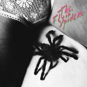 The Flyin Spiderz