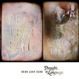 Thoughts & Language
