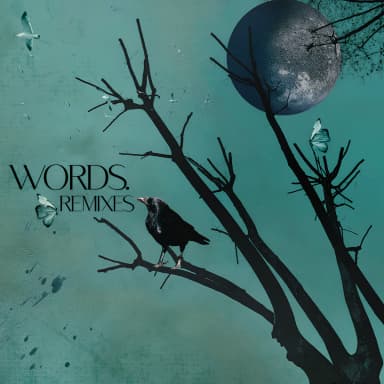 Words - Remixes