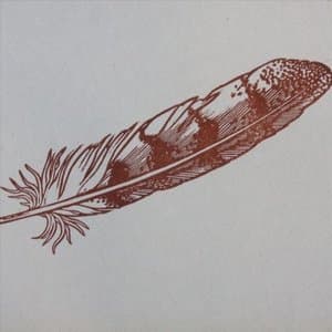 Feather