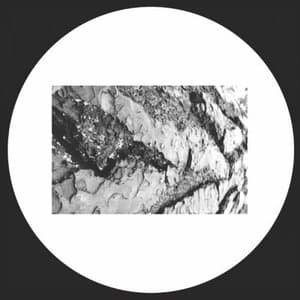 Elliott Project 006