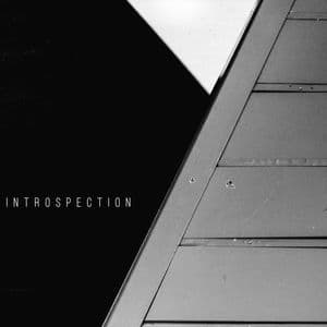 Introspection