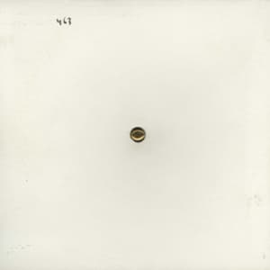 Mort Aux Vaches (CD2)