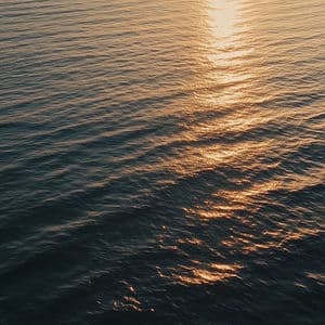 Rays