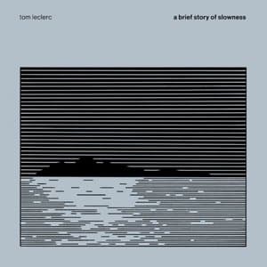 a brief story of slowness