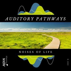 Noises Of Life