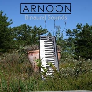 Binaural Sounds