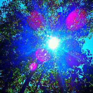 Bright Thing
