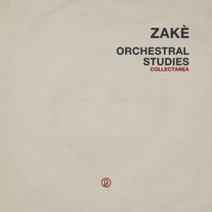 Orchestral Studies Collectanea