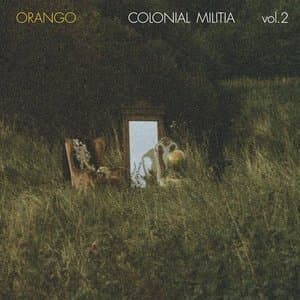 Colonial Militia Vol 2