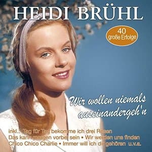Wir wollen niemals auseinandergehn - 40 grosse Erfolge