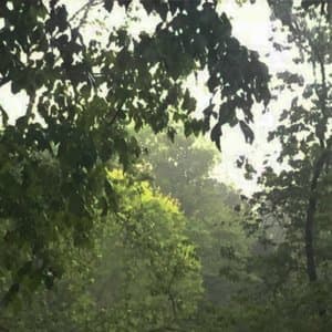 Natureza Eterea
