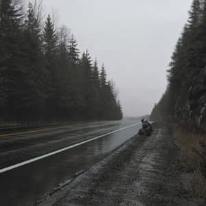 Fiction: Non-Fiction