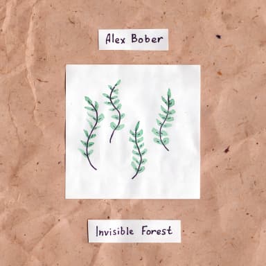 Invisible Forest