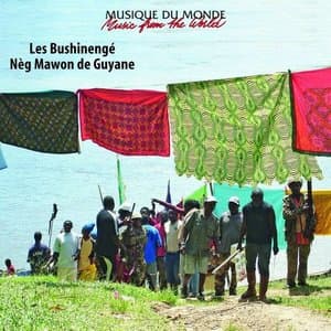 Neg Mawon de Guyane