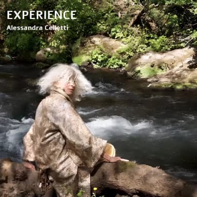 Experience