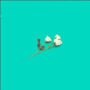 Rituals (Deluxe)