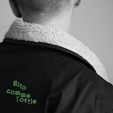 Comme lortie