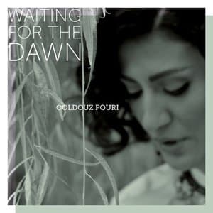 Waiting for the Dawn