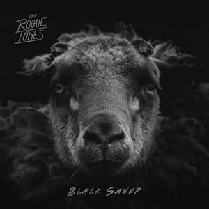 Black Sheep