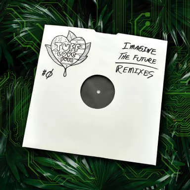 Imagine The Future (Remixes)