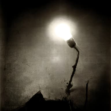 Denouement