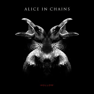 Hollow
