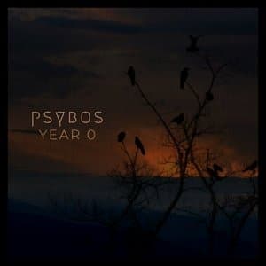 Year 0