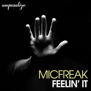 Feelin It (The Album)