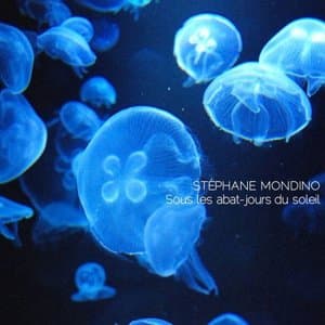 Sous les abat-jours du soleil