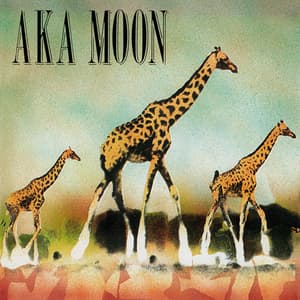 Aka Moon