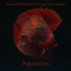 Aquarium