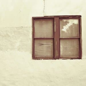 Fleeting Things