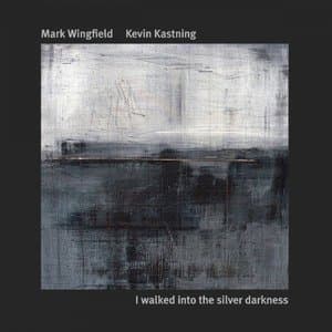 I Walked Into The Silver Darkness