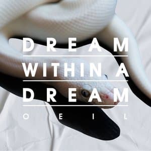 Dream Within A Dream