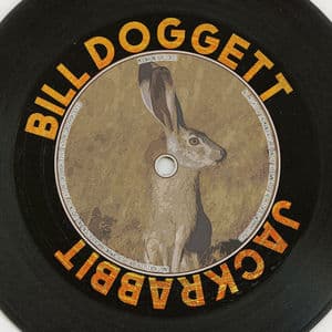 Jackrabbit