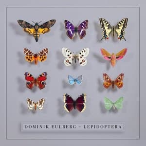 Lepidoptera
