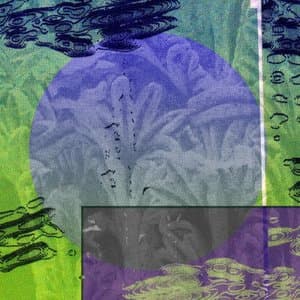 Geodesists