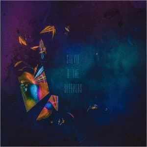 Stevie & The Sleepers