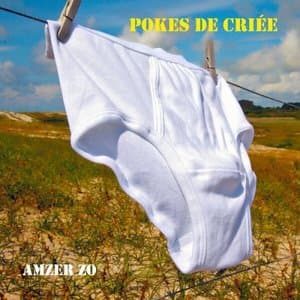 Amzer Zo