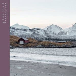 Norskfjordr