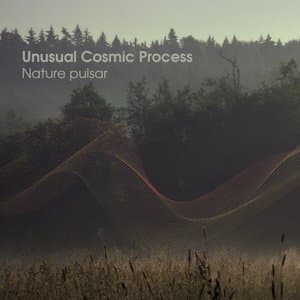 Nature Pulsar