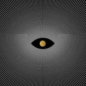 Transition LP