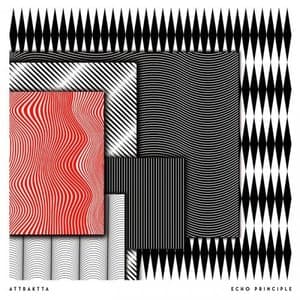 Echo Principle