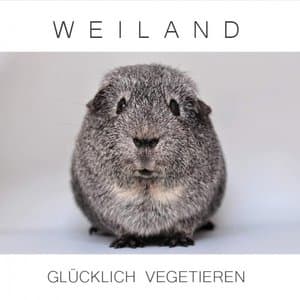 Glucklich Vegetieren