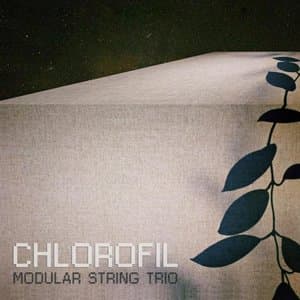 Chlorofil