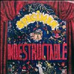 Indestructable